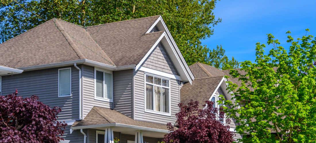 shingle roof